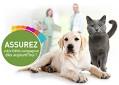 Assurance chiens et chats : Comparateur et Devis