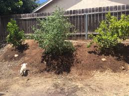 Maybe you would like to learn more about one of these? Moon Valley Nursery Of California Inc 26334 Mesa Rock Rd Escondido Ca 92026 Yp Com
