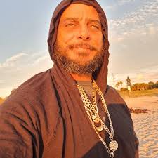 How much do tree climbers get paid per day?