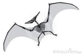 Pterodactyl Dinosaur Pictures Pterodactyl Skeleton Illustration