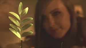 Slow Dance: A Frame that Slows Down Time