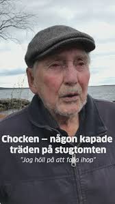 Träden på deras stugtomt sågades ned • "Jag höll på falla ihop"