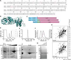 We would like to show you a description here but the site won't allow us. Frontiers Large Scale Recombinant Production Of The Sars Cov 2 Proteome For High Throughput And Structural Biology Applications Molecular Biosciences