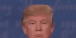 The best gifs for trump. Twitter Has Denied That It S Making Everybody Follow Donald Trump S Presidential Account