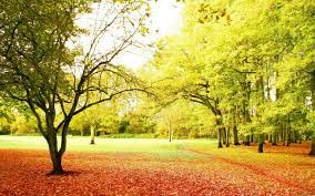 Download 96 background pemandangan sore hari hd gratis download. Nature Backgrounds Hd Wallpaper Alam Yang Indah Gambar Latar Belakang Wallpaper Alam Yang Indah