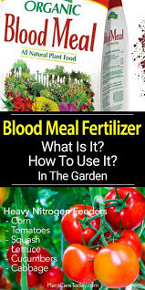 The soil as a natural resource / robert e. Pin On Best Of Plantcaretoday