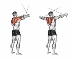 Check spelling or type a new query. Exercise Database Shoulders15 Standing Cable Rear Delt Fly Jase Stuart The Better Body Coach
