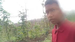 Right now i'm at a vegetable garden.