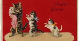 Adorable Embossed Victorian Cat Postcard German 1908 230608288139 Cats Illustration Cats And Kittens Cat Art