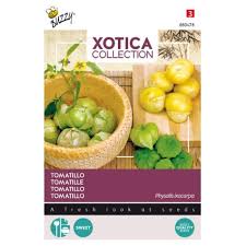 Tomatillos have a very tart flavor, not at all like a tomato. Xotica Tomatillo Seeds Irish Plants Direct