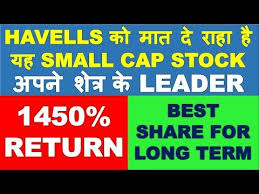 Best Smallcap Stock To Beat Havells In Long Term Investment