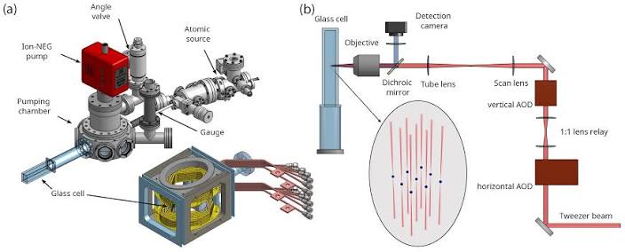 Single Sr Atoms in Optical Tweezer Arrays for Quantum Simulation