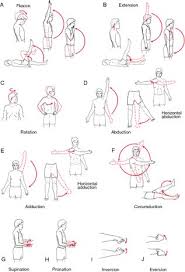 Image Result For Shoulder Range Of Motion Chart