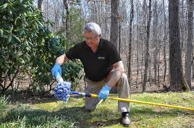 So, the best tip to save money when. Greensboro Pest Control Removal Winston Salem Identification High Point