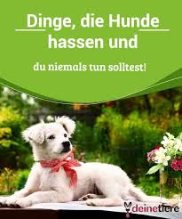 Pin Auf Ernahrung