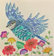Bird Flowers Animal Kingdom Millie Marotta Birds Color Me Draw Me Art Millie Marotta Animals