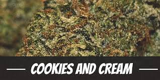 The cookies and cream strain is recommended for those who like og, gorilla glue, cookies and other kush genetics. Cookies And Cream Strain Review Effects Origin Yield More
