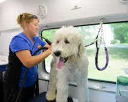 We are passionate animal lovers that offer grooming to pets who prefer. Aussie Pet Mobile The Leader In Mobile Pet Grooming