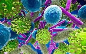 Without timely treatment, sepsis can rapidly lead to tissue damage, organ failure, and death. Sirs Sepsi Shock Settico Aferetica