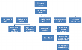 Simplified Health Care Organizational Chart Download