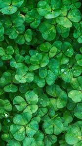 We did not find results for: St Patricks Day Screensaver Wallpaper Posted By Sarah Peltier