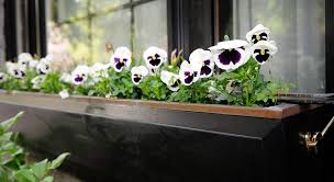 Au début du printemps, incorporez au sol les paillis ou les engrais verts semés en automne partiellement décomposé. Comment Bien Choisir Ses Jardinieres Et Ses Pots De Fleurs La Maison Saint Gobain