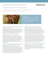 Diagnosing and Managing Canine Leptospirosis Diagnostic Update