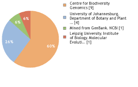 Image result for Ritchiea capparoides