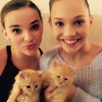 Adam Schubert (adamschuber2566)