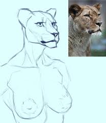 How to draw mountain lion