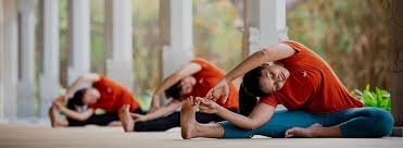 We did not find results for: Sri Sri Yoga Level 2 Program The Art Of Living International Center