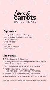 Horse Treat Recipe Horse Treats Homemade Horse Treats Healthy Horses