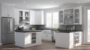 elgin wall cabinets in white  kitchen