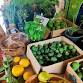 Kāpiti Crop Swap OTAKI event image