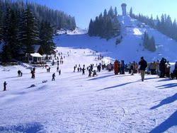 We did not find results for: Ski Resort Vlasic Babanovac In Bosnia And Herzegovina 2020 2021 Moje Skijanje