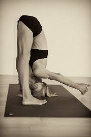 Prasarita Padottanasana C By Portraityogi Via Flickr Primary Series Yoga Fitness Yoga Inspiration Yoga Poses