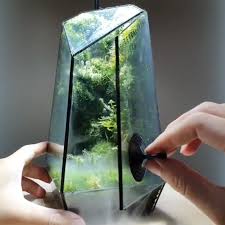 Mini Eco System Terraliving Video Mini Garden Ecosystems Terrarium Plants