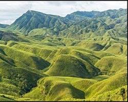 Image of Dzukou Valley, Dimapur