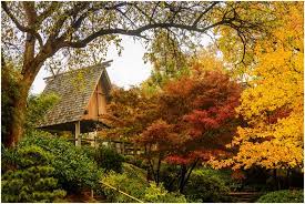 Cathy Ron S Gallery Fort Worth Japanese Garden Japanesegardensfortworthtexas Japanesegardens Japanese Garden Meditation Garden Location Photography