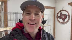 متع عيونك حمامة المودينا بلون أرجنت أسود ملكي- Top modena argent black  pigeon