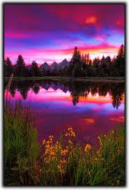 Maybe you would like to learn more about one of these? A Jackson Hole Beaver Dam Sunset Beautiful Landscapes Beautiful Nature Nature Photography