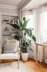 favorite indoor plants harlowe jamesharlowe james indoor pflanzen dekor zimmerpflanzen wohnzimmer pflanzen