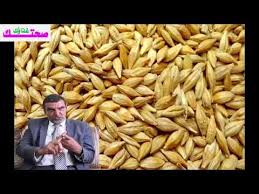 الدكتور محمد الفايد هل تعلم أن الشعير م حفز للأنسولين و هو م نجم هائل للمعادن المقوية للجسم youtube merino wool blanket wool blanket food