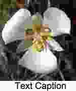 Theoretisch erzielt das dateiformat jpeg zwar nur dann seine. Newsletter Design Bildformate Jpg Gif Png