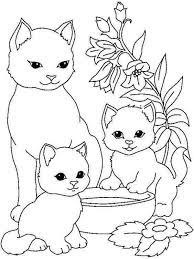 Cute Farben Offiziell Farben Offiziell Katzen Katzenaquarell Sussekatzen Ausmalbilder Katzen Ausmalen Ausmalblatt