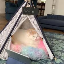 Marshmallow or donut cat beds look a bit like giant marshmallows or donuts. Ynchec4ofygzjm