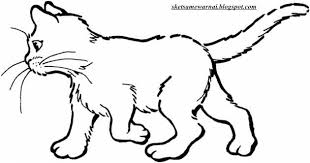 Gambar kucing comel untuk mewarna. 480 Koleksi Gambar Sketsa Binatang Kucing Hd Terbaru Gambar Hewan