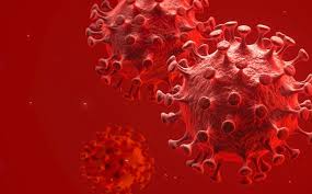 La variante delta, identificada por primera vez en india, es altamente contagiosa. Coronavirus Jalisco Se Confirma Primer Caso De Variante Delta