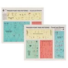 Trigger Points Of Pain Wall Charts Set Of 2 New Poster