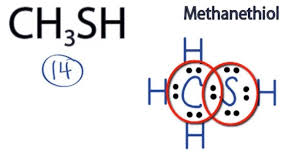 Image result for Methanethiol